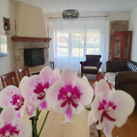 Apartment Nina